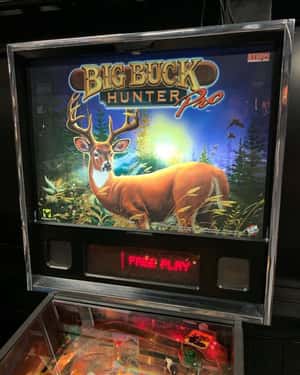 Big Buck Hunter Flipper STERN Occasion